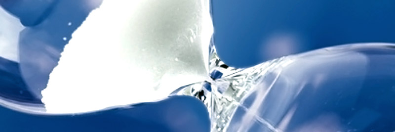 Interim + Projektmanagement